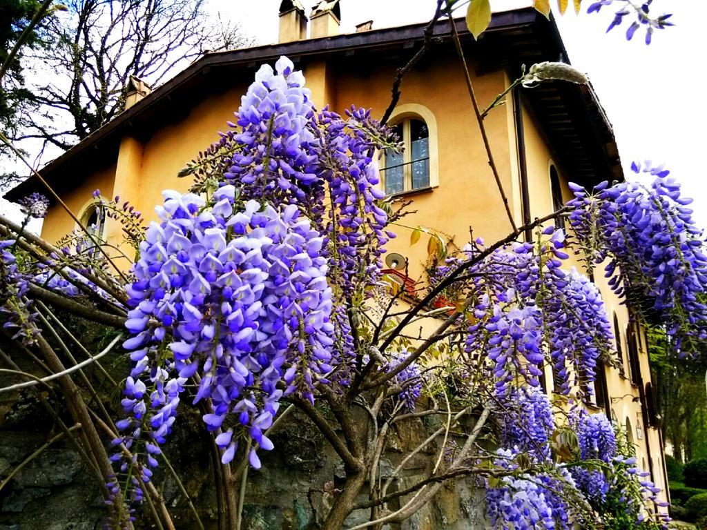 La Locanda del Borgo Pietralunga  Exterior foto